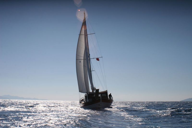 HYL 21 - 2