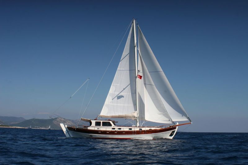 HYL 21 - 2