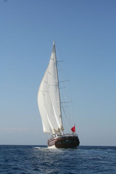CNR 36 - 6