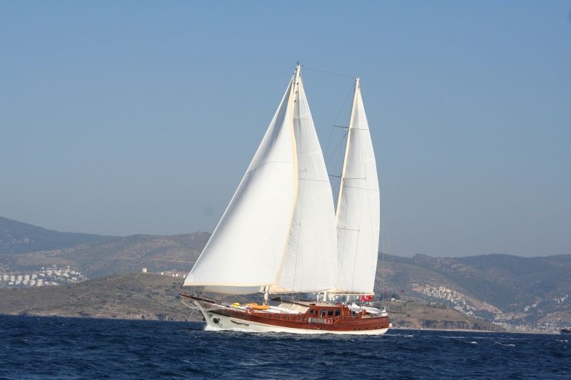 CNR 36 - 6